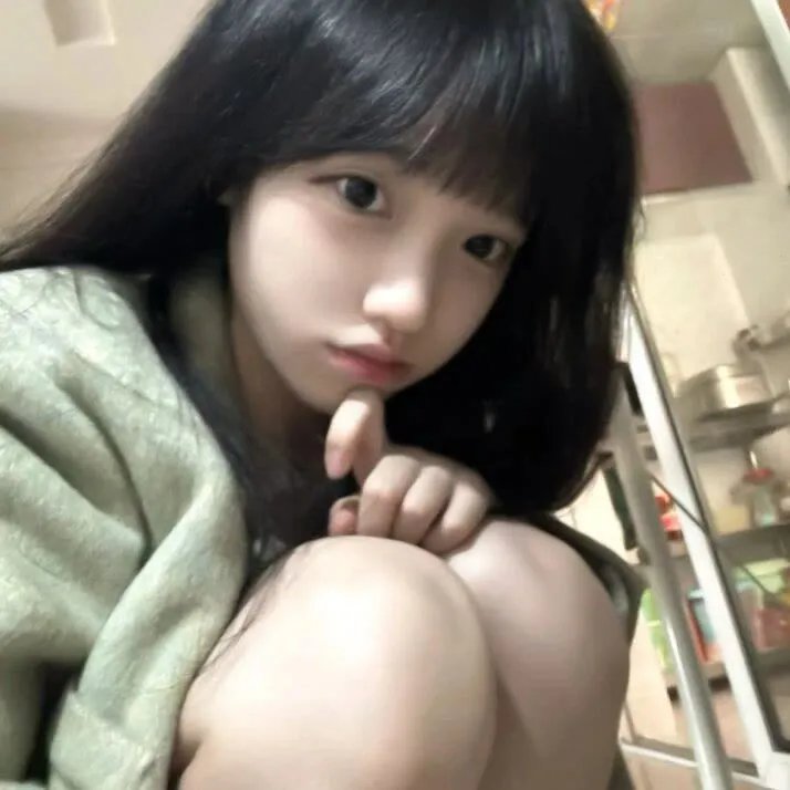 燕子与鹦鹉